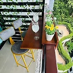 Alpaca Sky View Patong